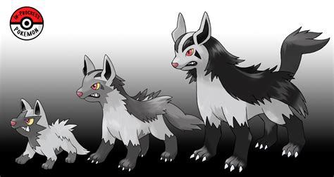 In-Progress Pokemon Evolutions | #261.5 - Poochyena are omnivores, and ...