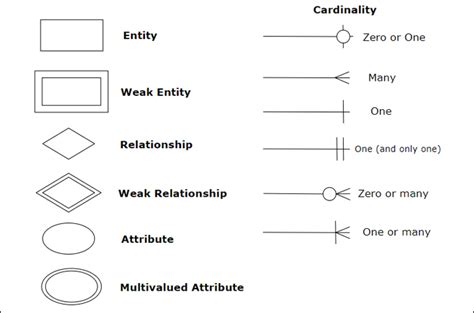 30+ er diagram e commerce database - SinitaKannie