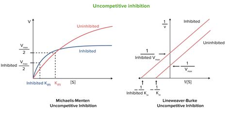 Mixed Inhibition Graph