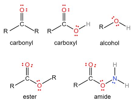 Draw Lewis structures for these functional groups. Show all valence ...