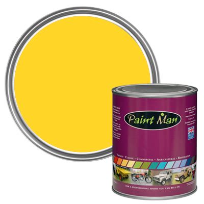 Zinc Yellow RAL 1018 - Standard Colour - Paintman Paint