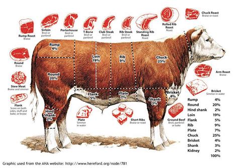 Cuts of beef and how to cook them | Northglen News