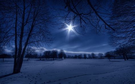 Beautiful Winter Night Wallpaper Free Download