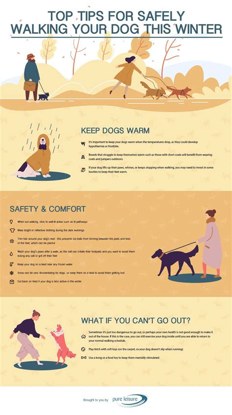 Walking Your Dog This Winter | Pure Leisure Infographic