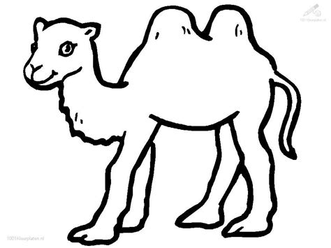 Drawing a Camel in the Desert: Tips and Techniques for Creating ...