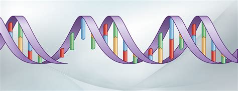 Mutation Detection — Bio-Rad