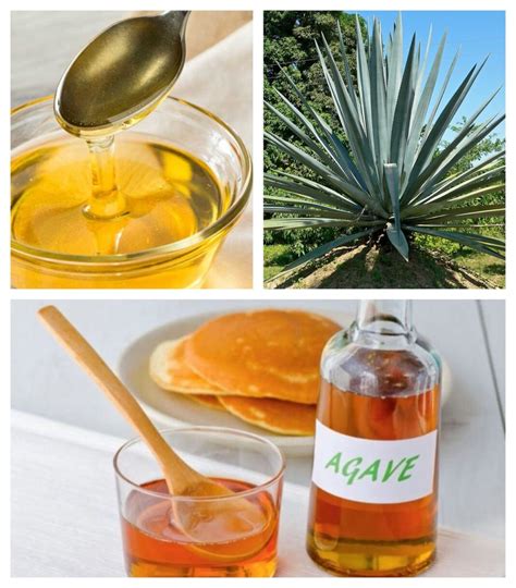 Néctar de agave: información nutricional, beneficios para la salud y más