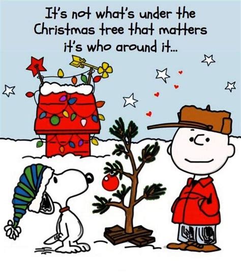 Pin by Judy Wight on Christmas | Christmas quotes funny, Holiday quotes ...