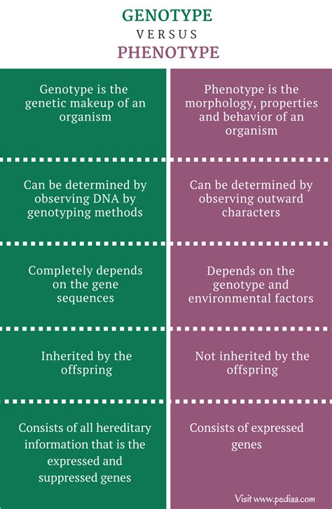 Difference Between Genotype and Phenotype - Pediaa.Com