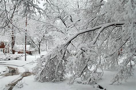 3,100+ Snow Storm Damage Stock Photos, Pictures & Royalty-Free Images ...