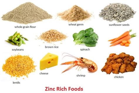 Zinc Rich Foods (Foods High in Zinc)