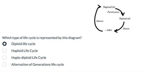 Solved Which type of life cycle is represented by this | Chegg.com