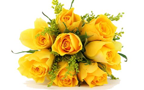 Yellow Rose Bouquet – Vibrant Romantic Gift Clipart | PNG All