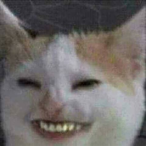 Cat Human Face Meme