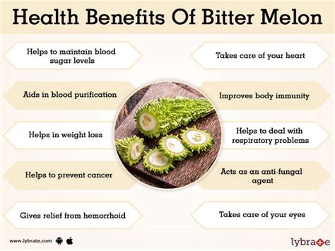 Benefits of Bitter Melon And Its Side Effects | Lybrate