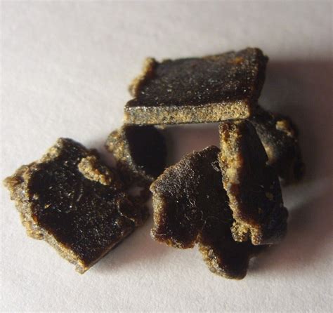 The origins of Hashish — CANNANASKIS