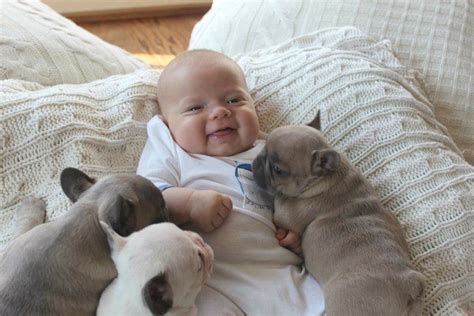 Puppies & Babies—The Cuddle Factor!