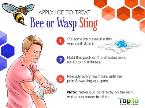 How to Treat a Bee or Wasp Sting | Top 10 Home Remedies | Wasp stings ...