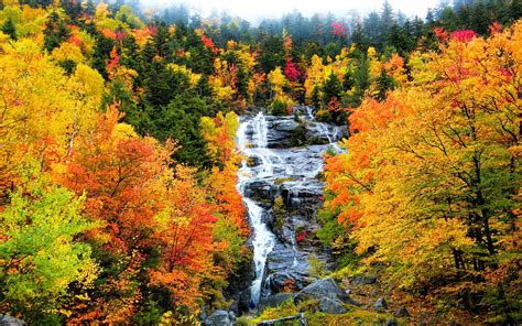 Autumn Mountain Stream Wallpapers - Top Free Autumn Mountain Stream ...