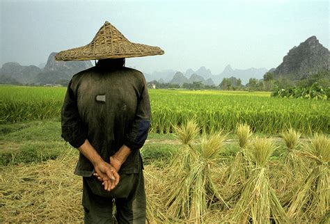 Chinese Rice Farmer Photograph by Robb Kendrick | Fine Art America