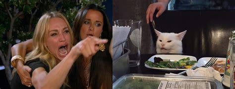 Woman Yelling at a Cat HD meme upscale | Woman Yelling at a Cat | Know ...