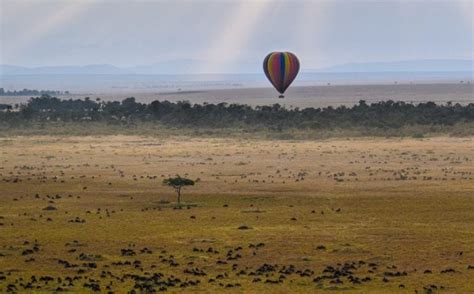 Masai Mara Balloon Safari - Lenchada Safaris