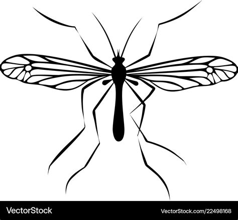 Drawing of mosquito Royalty Free Vector Image - VectorStock