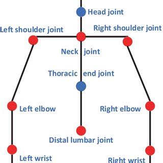 Simplified manikin (the upper part of the body) | Download Scientific ...