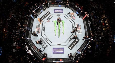 How Big is the Octagon in UFC?