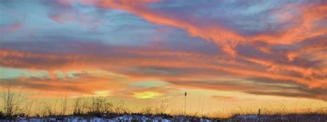 Dune Habitat Photograph by Nathan Ryan - Fine Art America