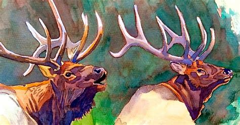 Impression Evergreen: Elk Studies - Watercolor