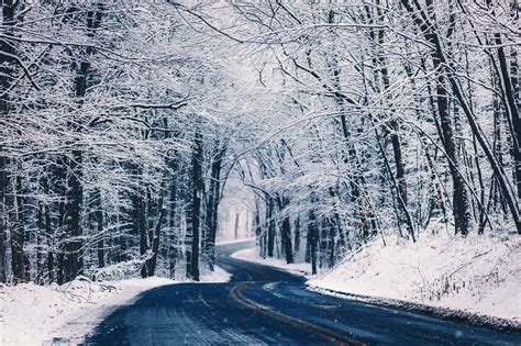 Empty road with withered trees covered in snow, road, landscape, winter ...