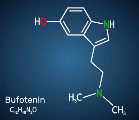 Bufotenin Illustrations, Royalty-Free Vector Graphics & Clip Art - iStock