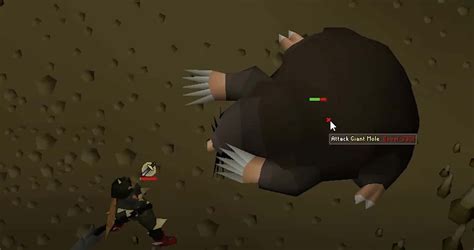 Giant Mole OSRS Guide [2022]: Go The Mole Nine Yards! - Rune Fanatics