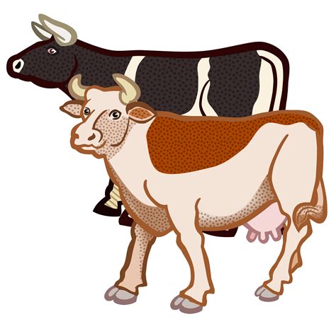 Two Cows Vector graphics image - Free stock photo - Public Domain photo ...