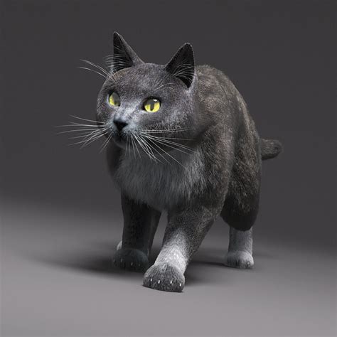 Domestic Cat Gray FUR 3D Model rigged MAX | CGTrader.com