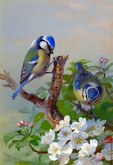 Pin by Elaina on Birds | Bird art, Birds painting, Beautiful birds