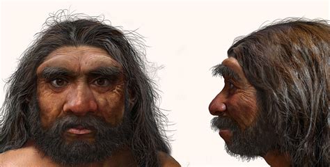 146,000-Year-Old Archaic Human Cranium Represents New Species: Homo ...