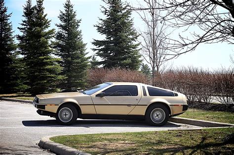 Gold Plated Delorean - Update - MyCarQuest.com