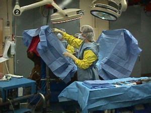 Colic Surgery in Horses | American College of Veterinary Surgeons - ACVS