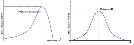 Ch 6 Notes