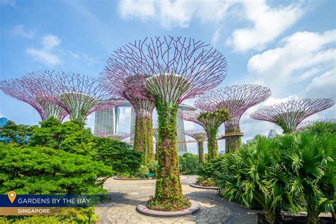 6 Majestic Tourist Attractions in Singapore You Can't Miss