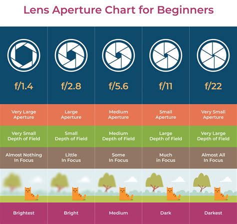 What is Aperture? Understanding Aperture in Photography