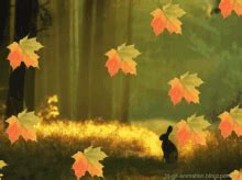 Animated Falling Leaves Background GIFs | Tenor