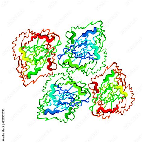 Gastricsin is a molecular chemical formula. Enzyme of the stomach ...