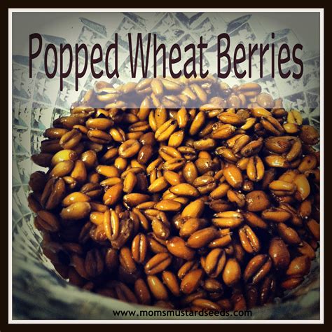 Popped Wheat Berries — Mom's Mustard Seeds