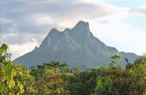 Pico da Neblina será reaberto para visitação - Rede Macuco