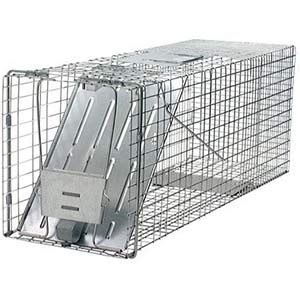 Best Coyote Live Traps for Sale 2020 - Consumer Guides