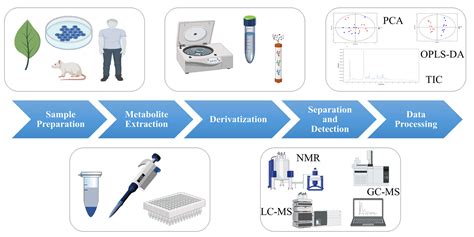 Foods | Free Full-Text | Innovative Application of Metabolomics on ...