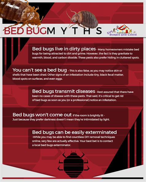 Bed Bugs Exterminator Springtown: How To Prevent Them